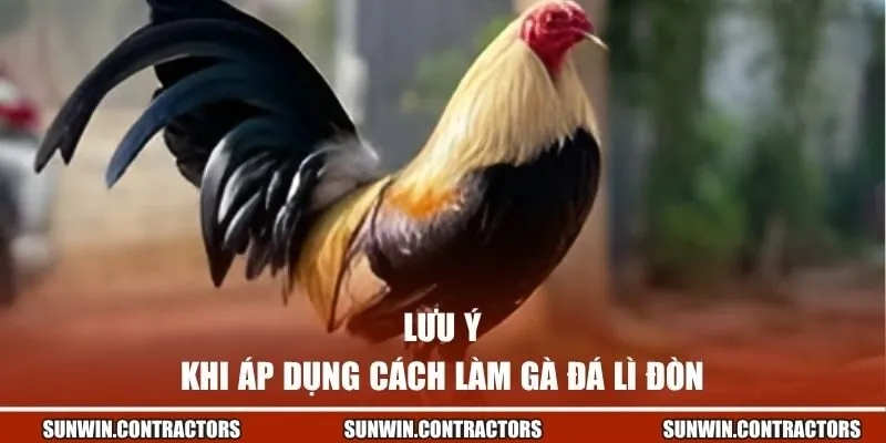Lưu ý khi áp dụng cách làm gà đá lì đòn