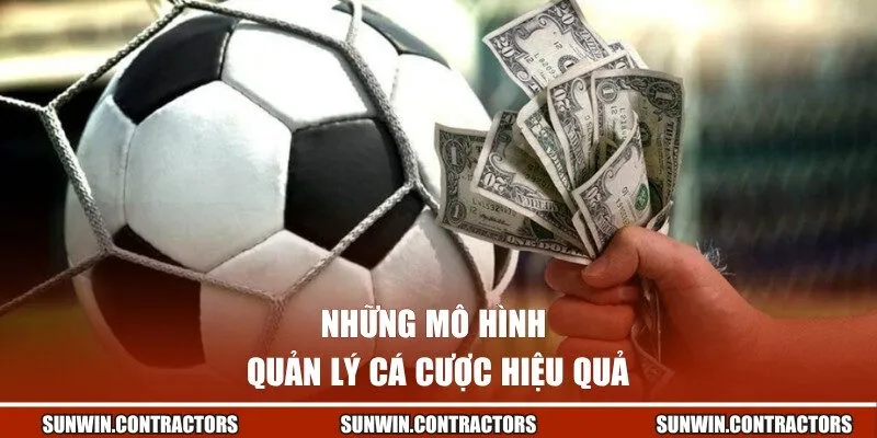 Những mô hình quản lý cá cược hiệu quả